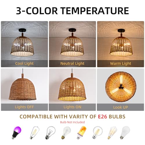 13.8" Rattan Pendant Light