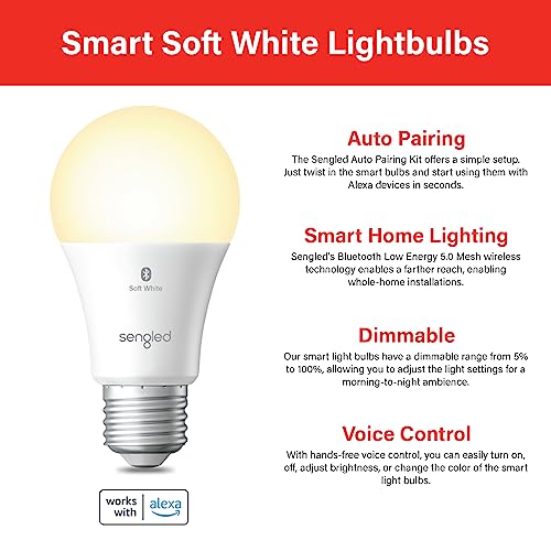 Alexa Light Bulbs 100W Equivalent (4 Count)