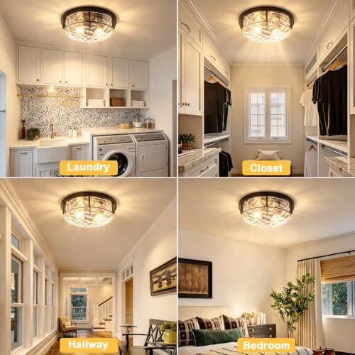 Black 2 Light Ceiling Light Fixture with Hammered Glass