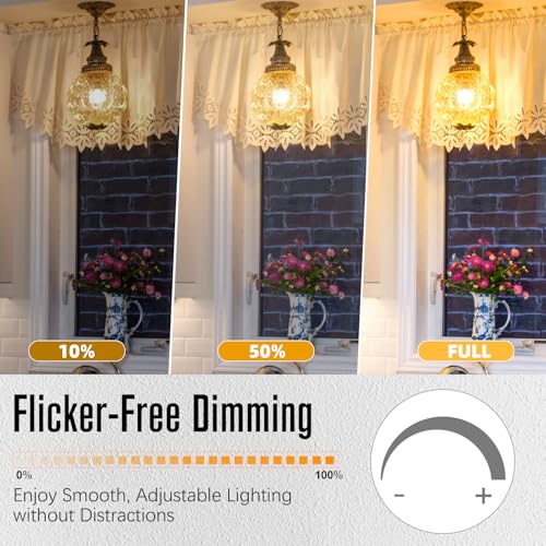 Dimmable LED Edison Bulb (6 Count)