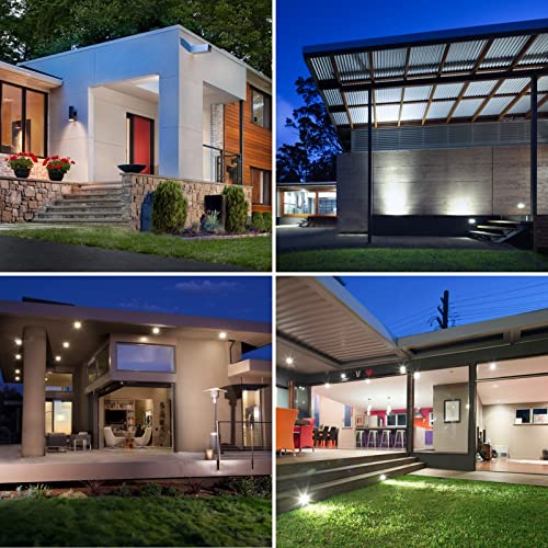 Par38 led Flood Lights Outdoor Light Bulb (2 Count)