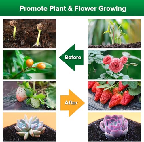 LED Grow Lights for Indoor Plants