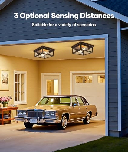 Motion Sensor Outdoor Ceiling Light with Remote