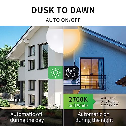 Dusk to Dawn Light Bulbs (2 Count)