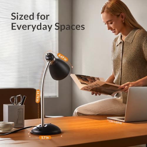 Metal Desk Lamp