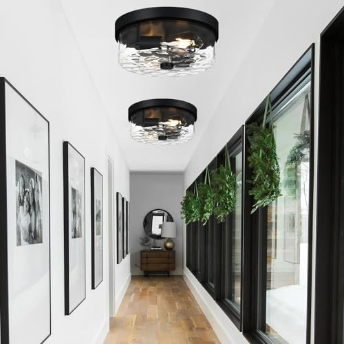 Flush Mount Ceiling Light Fixtures