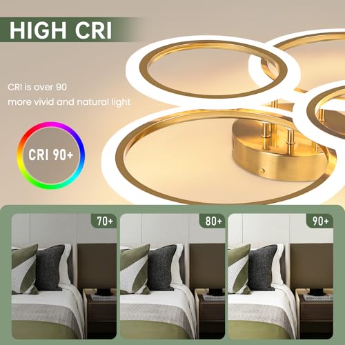 Modern LED Ceiling Light