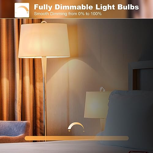 E26 Dimmable A19 Vintage 6W LED Edison Bulbs 2700K Decorative Light Bulbs (4 Count)