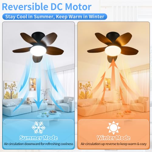 25" Small Ceiling Fans with Lights & Remote (Dark Brown)