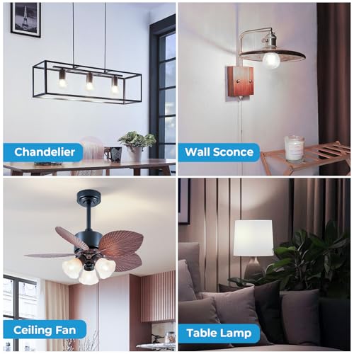 E26 Base G16.5 Edison Globe LED Bulb (6 Count)