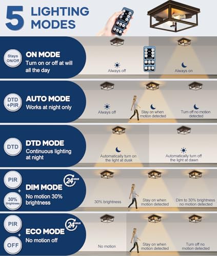 Motion Sensor Outdoor Ceiling Light with Remote