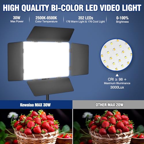 2 Pack LED Video Light Kit with Barn Door (2 Count)