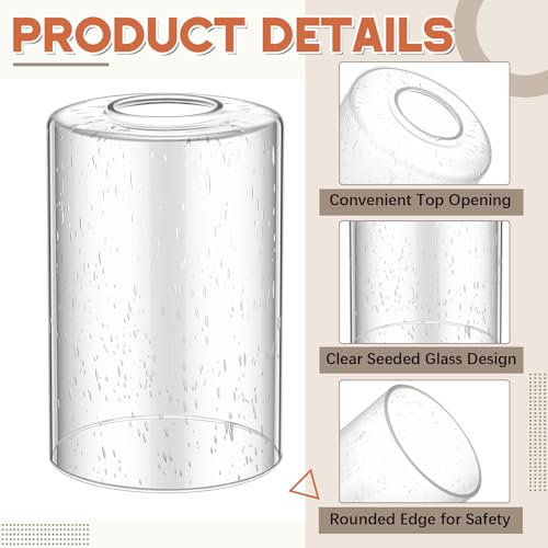 6 Pack Clear Bubble Seeded Glass Lamp Shade 1 (6 Count)