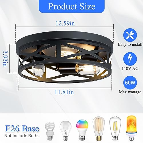 Flush Mount Ceiling Light Fixture