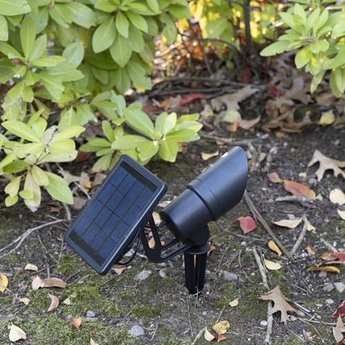 Tri Color Progressive Solar LED Spotlight with 100 Lumens