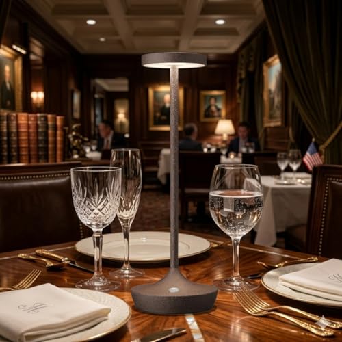 2 Pack Cordless Table Lamps