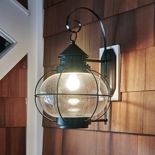 A19 LED Light Bulb (4 Count)
