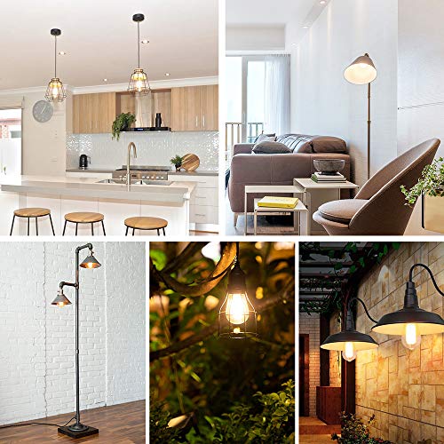 Vintage LED Dimmable Edison Light Bulbs 100W Incandescent Equivalent (4 Count)