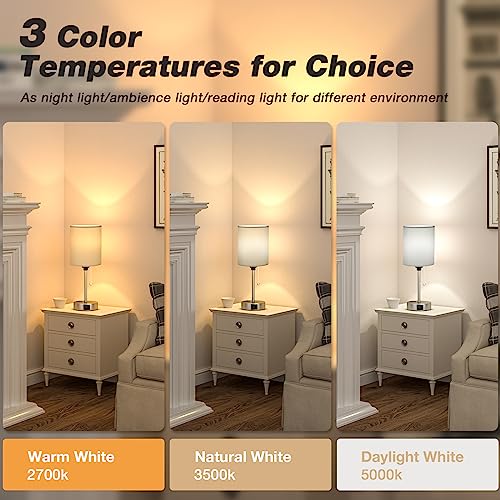 Small Bedside Table Lamp for Bedroom