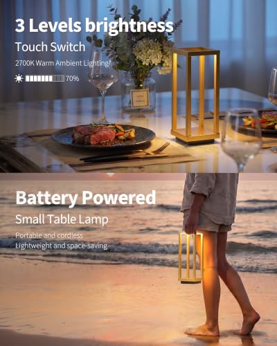 Cordless Waterproof Table Lamps Set of 2 (2 Count)