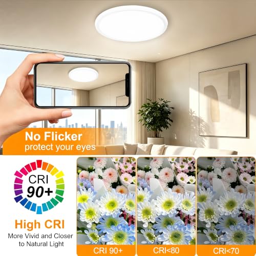 15 Inch LED Flush Mount Ceiling Light (White)