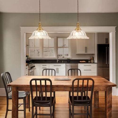 Glass Pendant Lights Modern Pendant Lighting Fixtures 11.8 in Brushed Finish Hanging Lamp for Kitchen Island Bedroom Dining Room Coffee Shop Hallway Hotel Living Room