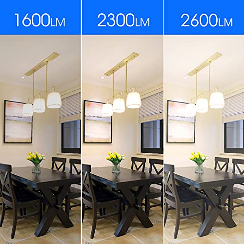 ENERGETIC Super Bright Light Bulb 150 Watt Equivalent A21 LED Light Bulb (2 Count)