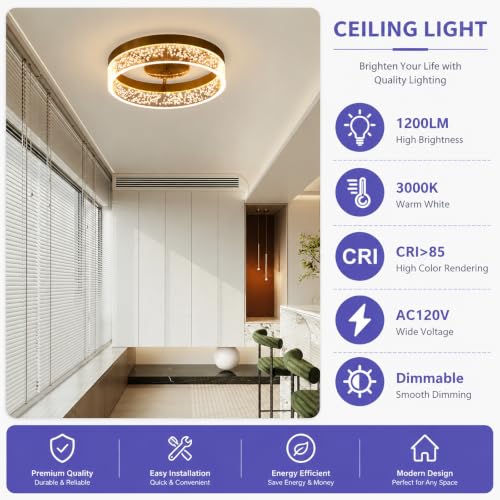 Modern LED Ceiling Light Fixture
