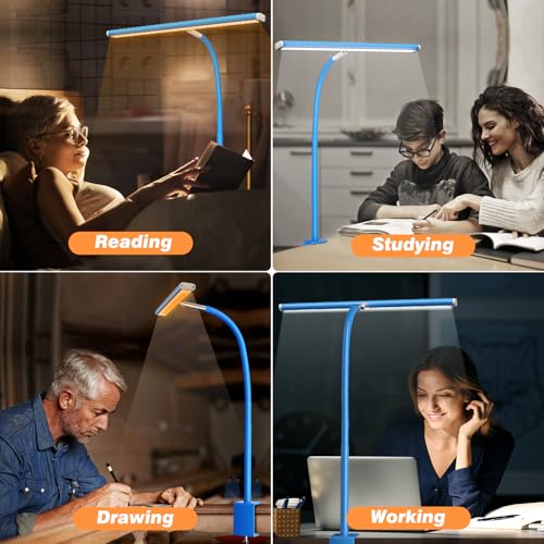 LED Desk Lamp with Clamp
