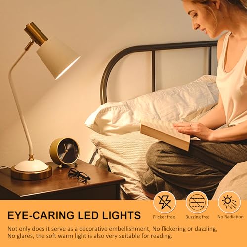 Dimmable Globe LED Vintage Edison Light Bulbs 60W Equivalent (2 Count)