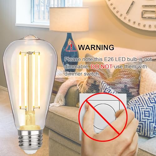 4 Pack Vintage LED Edison Bulbs (4 Count)
