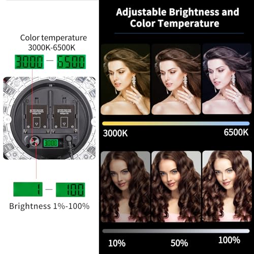 21in 55cm 60W LED Softbox Light with Rechargeable Battery