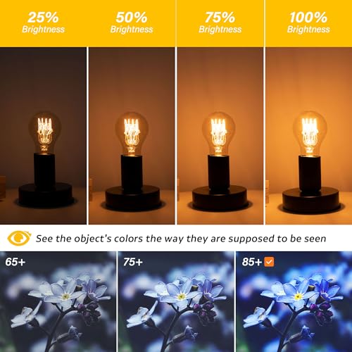 Dimmable E26 A19 Edison Bulbs Vintage Amber Light Bulbs 40 watt (2 Count)