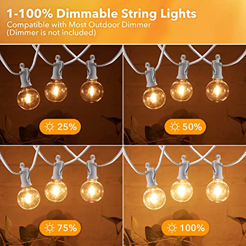 Outdoor String Lights (25 Count)
