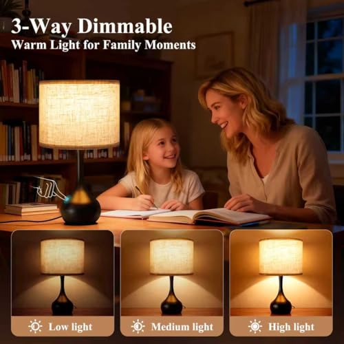 Touch Bedside Lamp for Bedroom