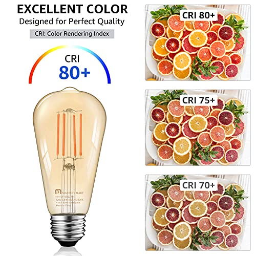 Dimmable Vintage E26 LED Light Bulb (10 Count)