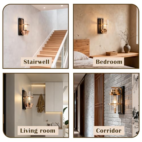 Rose Gold and Black Wall Sconce