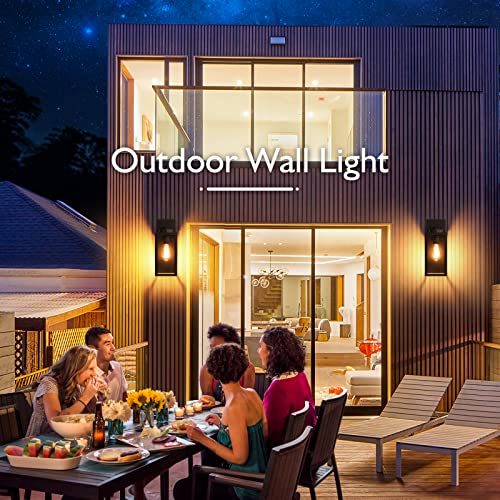 Outdoor Wall Light Fixture