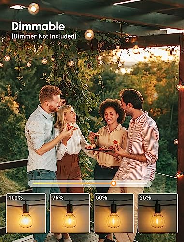 Outdoor String Lights (50 Foot)