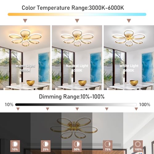 26inch Modern LED Ceiling Light