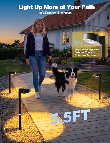 8 Pack Solar Pathway Lights Outdoor (8 Count)