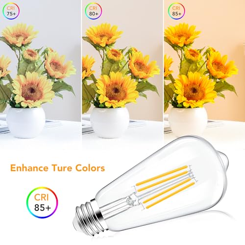 ST58 E26 LED Light Bulbs (12 Count)