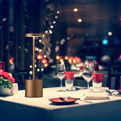 LED Cordless Table Lamps Set of 2