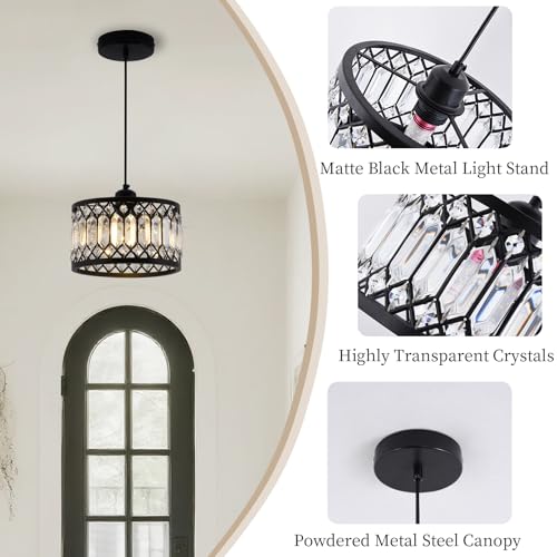 Crystal Black Pendant Light Fixture