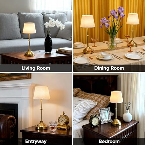 Cordless Table Lamp