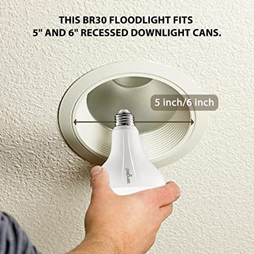 Smart Bulb Zigbee Hub Required