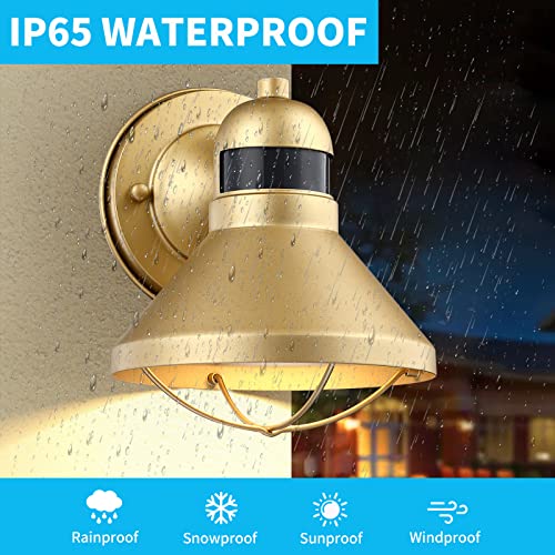 Dusk to Dawn Motion Sensor Outdoor LED Barn Light Fixture Gold