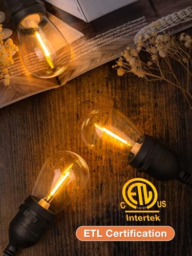 LED Outdoor String Lights 48FT with 25 Edison Vintage Bulbs ETL (48 Foot)