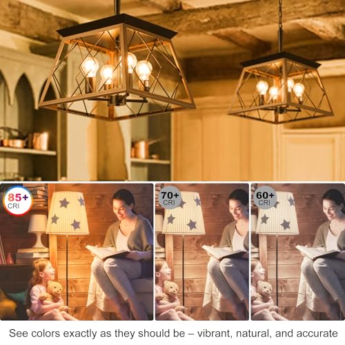 Dimmable A19 Vintage LED Edison Bulbs 60W (6 Count)