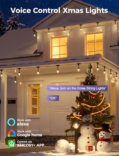 Outdoor String Lights